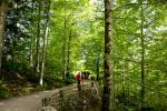 2015 06 02 baviere 147
